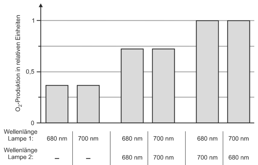 Balkendiagramm zur O₂-Produktion bei verschiedenen Lampenwellenlängen (680/700 nm), sechs Balken mit unterschiedlich hohen Werten